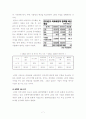 4대강 정비 사업의 부정적 분석 7페이지