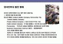 캄보디아의 이해 및 시장 진출 전략 15페이지
