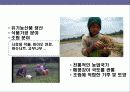 캄보디아의 이해 및 시장 진출 전략 31페이지