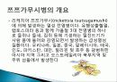 쯔쯔가무시병에 관하여  3페이지
