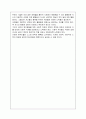 평화 레포트 5페이지