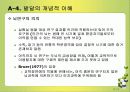인지발달과 언에 대한 모든것(피아제와비고스키비교) PPT 11페이지