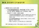 인지발달과 언에 대한 모든것(피아제와비고스키비교) PPT 19페이지