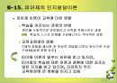 인지발달과 언에 대한 모든것(피아제와비고스키비교) PPT 31페이지