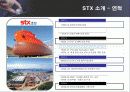 STX 그룹의 M&A 성공전략 분석 4페이지