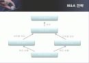 STX 그룹의 M&A 성공전략 분석 19페이지