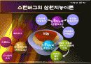 지능과 개인차에 대한 모든것PPT 7페이지