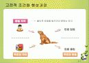행동주의와사회인지학습이론에 대한 모든것(페이지60).PPT자료 7페이지