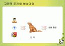 행동주의와사회인지학습이론에 대한 모든것(페이지60).PPT자료 8페이지
