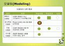 행동주의와사회인지학습이론에 대한 모든것(페이지60).PPT자료 46페이지