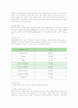롤리타 렘피카의 마케팅 전략 성공사례 8페이지