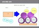 유한킴벌리의 신인사제도 분석 23페이지