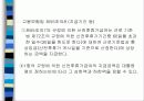 [정책론A+] 고용보험법의 허와 실  - 고용보험법의 문제사례와 내용분석 22페이지