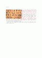 중국의 스포츠와 체육 9페이지