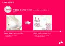 [디자인사례]디자인경영사례 yes 속옷 6페이지