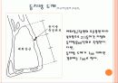 소도체 축산물 등급 6페이지