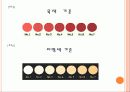 소도체 축산물 등급 10페이지