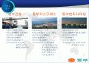 동부그룹 기업분석 15페이지
