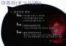 일본의축제[마츠리, 마쓰리] 3페이지