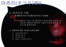 일본의축제[마츠리, 마쓰리] 4페이지