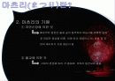 일본의축제[마츠리, 마쓰리] 5페이지