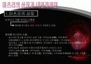 일본의축제[마츠리, 마쓰리] 7페이지