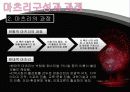 일본의축제[마츠리, 마쓰리] 13페이지