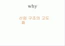규제의 사례 15페이지
