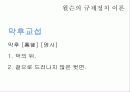 규제의 사례 24페이지