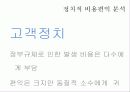 규제의 사례 29페이지
