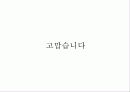 규제의 사례 31페이지