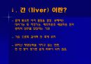 (임상운동요법) 간질환과 운동요법 3페이지