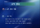 파일과 데이터 베이스 설계 14페이지