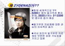 국케마케팅 사례연구 - Zydena 3페이지