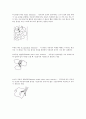 크로마토그래피 15페이지