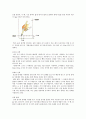 크로마토그래피 19페이지
