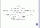 뇌내출혈 ICH 42페이지