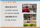 자기소개서.ppt 10페이지