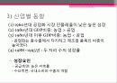 동남아시아 경제 33페이지