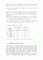 강호순 사건분석 9페이지