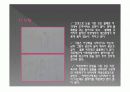 미술치료(물고기가족화, HTP, KFD, LMT) 임상 진단 결과 보고서 6페이지