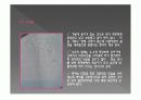 미술치료(물고기가족화, HTP, KFD, LMT) 임상 진단 결과 보고서 26페이지