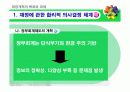 재정개혁의 목표와 과제 16페이지