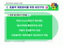 재정개혁의 목표와 과제 22페이지