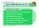 재정개혁의 목표와 과제 28페이지