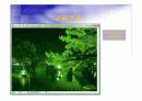 Adobe photoshop CS 2(2일).ppt  14페이지