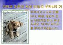 Adobe_photoshop_CS_2(4일).ppt  27페이지