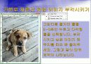 Adobe_photoshop_CS_2(4일).ppt  28페이지