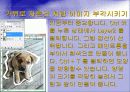 Adobe_photoshop_CS_2(4일).ppt  30페이지