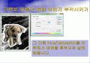 Adobe_photoshop_CS_2(4일).ppt  33페이지